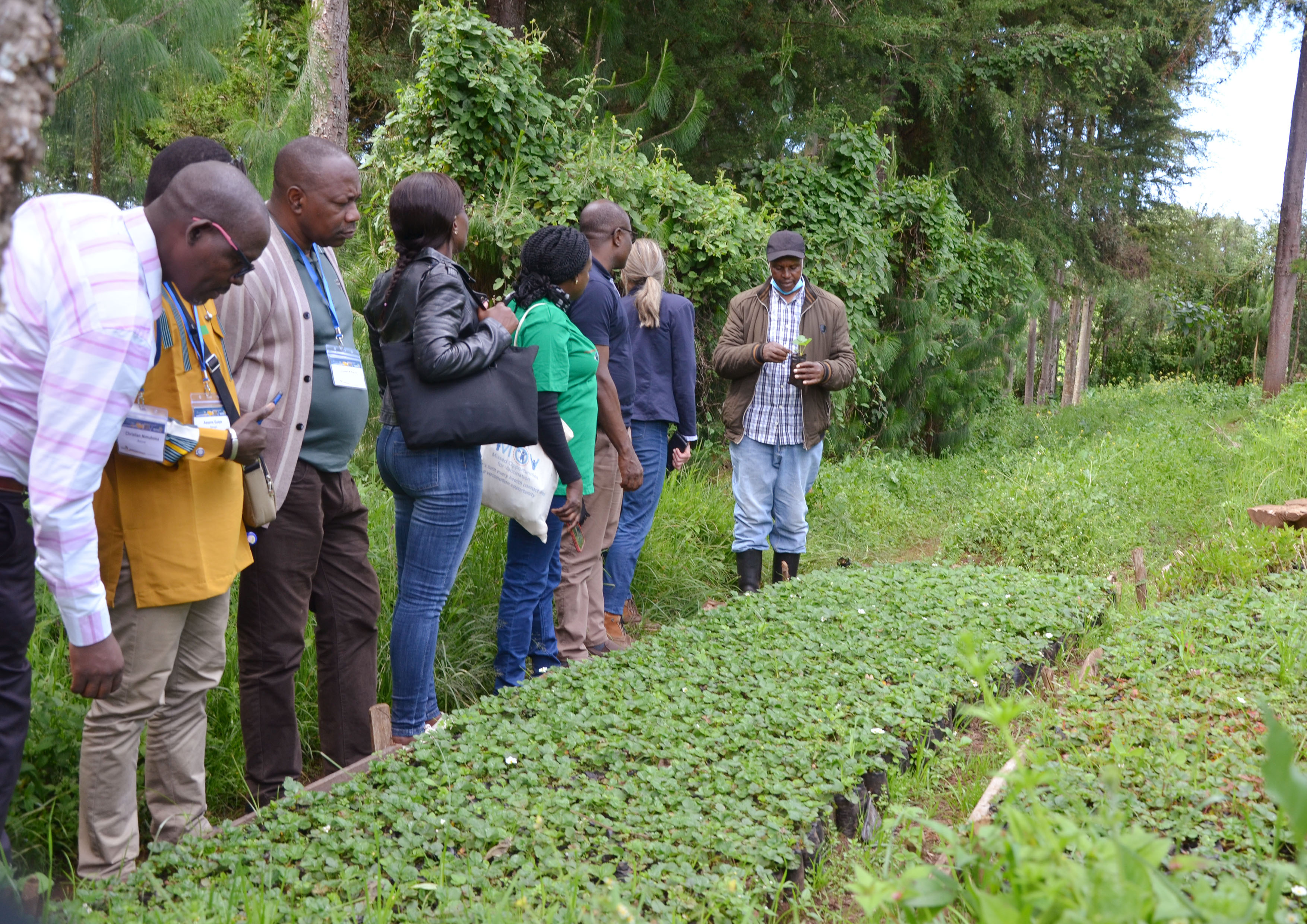 Visite de la ferme de fraises de Peter Kamau. Grâce à la contribution du Fonds pour l'eau en vue de capter les eaux de ruissellement dans un réservoir situé sur son exploitation, Peter a augmenté sa production de fraises de 0,5 à 2 hectares et emploie maintenant des personnes pour l'aider dans son exploitation (Crédit : ICRAF).