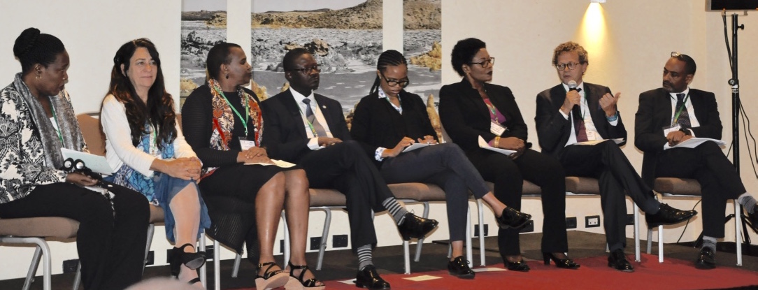 Panellists representing participating organisations. Photo: World Agroforestry Centre/ Susan Onyango